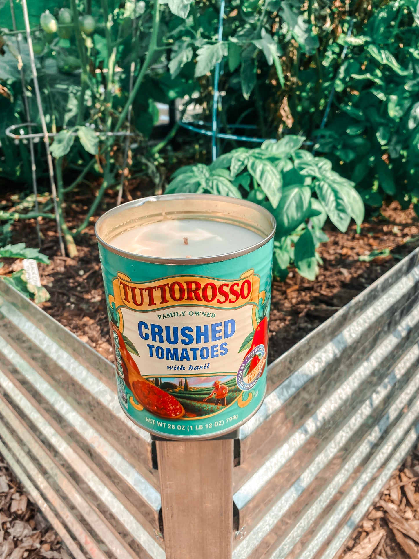 The Sunday Collection